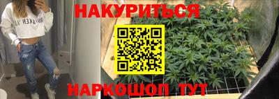 стаф Будённовск