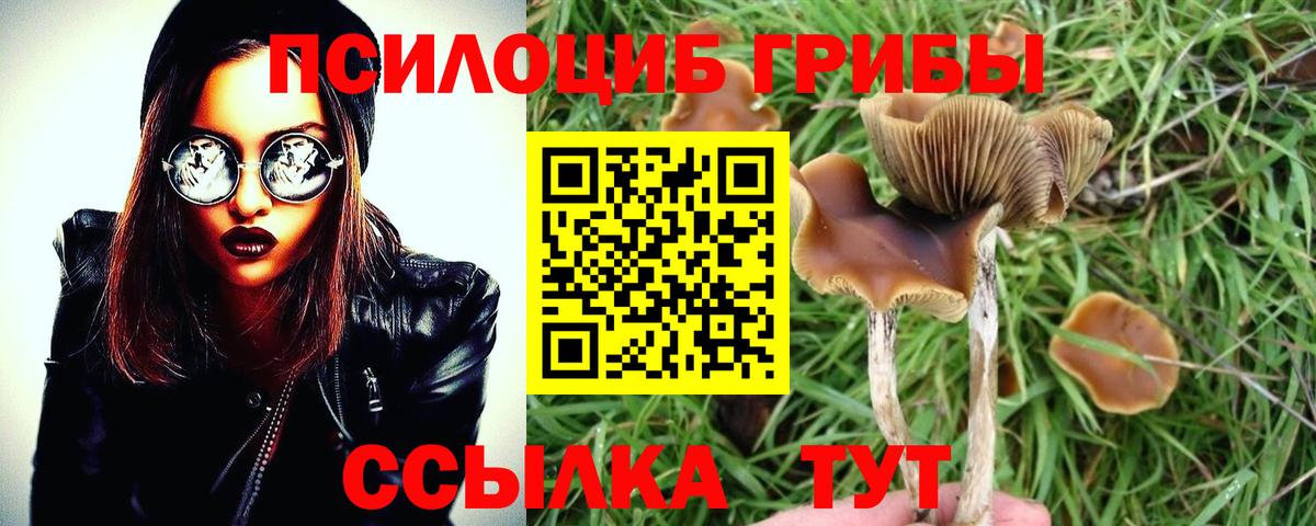 Галлюциногенные грибы MAGIC MUSHROOMS  Псилоцибиновые грибы MAGIC MUSHROOMS  Вход с VPN  что такое наркотик  Балашов 